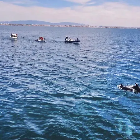 فيلة La Romana By Algarve Vacation