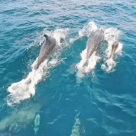 La Romana By Algarve Vacation * البوفيرا